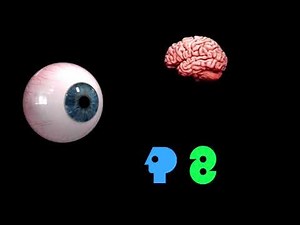 The Adventures of PBS P-Head Season 2 Episode 4: Down the Hatch (Episode 11)