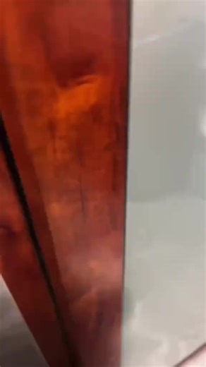 Discover Adorable Cat Moments at Oyen in the House