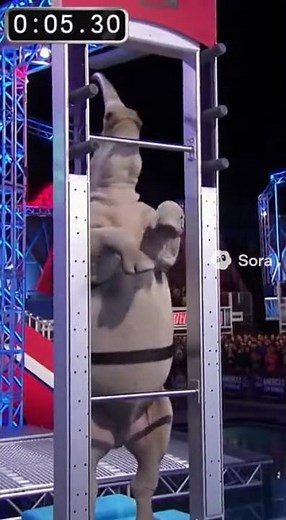 Animal Olympics Obstacle Course | Adorable Pet Sports Challenge!