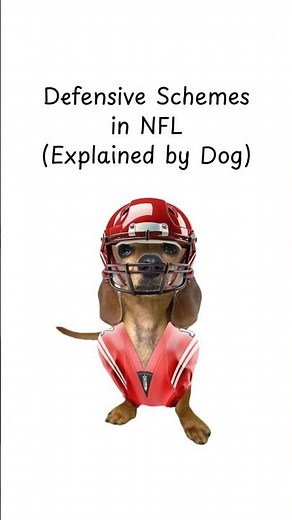 Defensive Schemes in NFL Explained by Wiener Dog