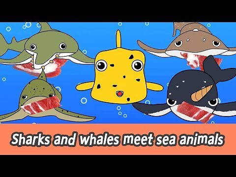 [EN] Sharks and whales meet sea animals let's enjoy together! sea animals names for kidsㅣCoCosToy