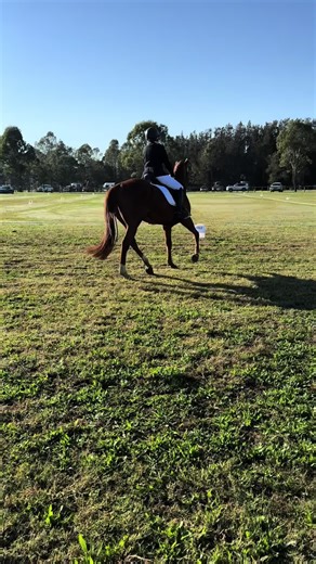 Dozer completed his first dressage test and eventing start at Equestraid. Finishing 57% in dressage, clear showjumping and clear cross country. It’s only up from here, but proud of how far he has come already and excited for what’s ahead. #offthetrack #eventingjourney #thoroughbredTransformation #Equestraid2025 #invictusfelix aka #dozer