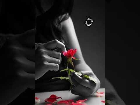 Best of Deep Forest Mix