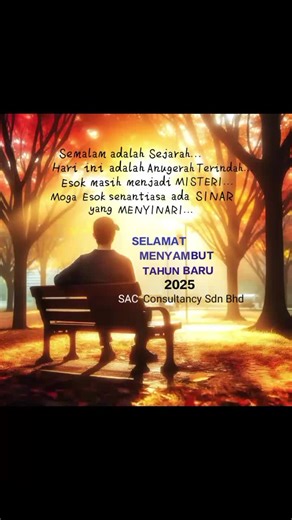 Sac Consultancy on TikTok