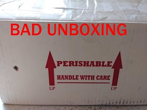UNBOXING BALL PYTHONS - NOT HAPPY