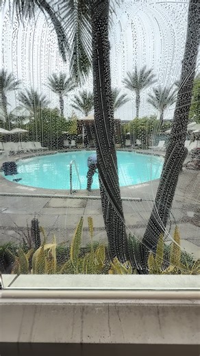 🧼🪟 #window #windowcleaning #windowtinting #windowcleaningbusiness #windowcleaner #commercialcleaning #reaidentialcleaning #commercialwindowcleaner #disneyland #disneyworld #anaheim #orangecounty #losangelescounty #longbeachcalifornia