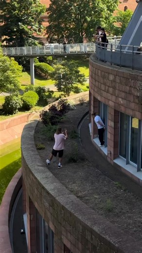 That looked like it hurt | Krispy Matt