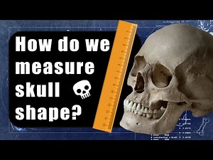 Skull Science Methods | Geometric Morphometrics