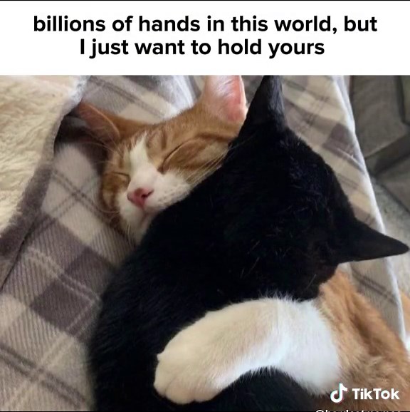 Hold My Hand - Longing for Connection and Affection