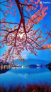 Tiếng khóc nấc nghẹn ngào anh bây giờ tim đau như cắt... #bolero #tamtrang #nhachaymoingay