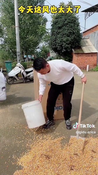 Video của Gidu Erica (@gidu.erica) với bản nhạc original sound - Gidu Erica