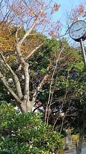 2025年11月28日 ＃月利15％ ＃BitradeX ＃AIトレード ＃暗号資産＃年利180％ ＃仮想通貨