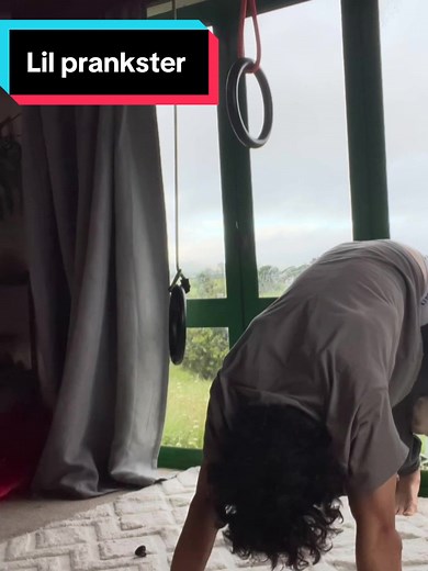 Morning Pranksters Working Hard on the Front Line