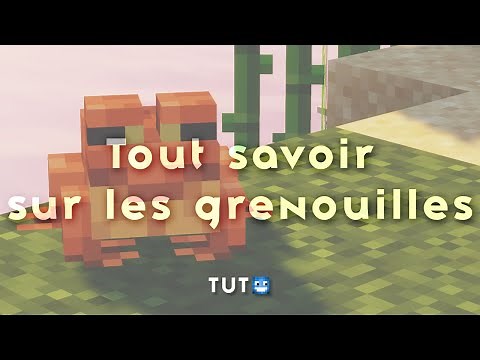 Tuto Minecraft : Tout savoir sur les grenouilles