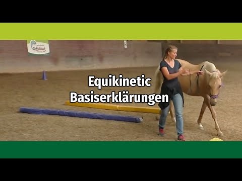 Equikinetic (Muskelaufbautraining) Basiserklärungen mit Andrea Eschbach-Kindler
