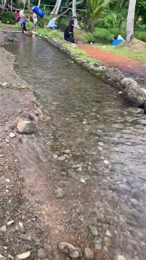 Relaxing Stream Flow & Kids Playing in Nature 🌊