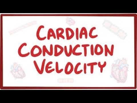 Osmosis | Electrical Conduction in the heart