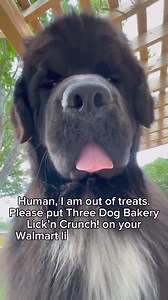 Your Dog Deserves the Good Stuff and Nothing Less, Made with Real Ingredients | Three Dog Bakery