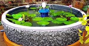 How To Build A Backyard Pond
