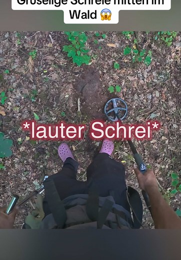 Mysteriöse Schreie im Wald entdecken