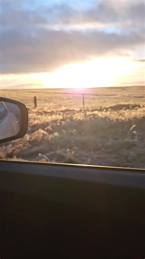 After days of fog that made everything feel flat and heavy, the sun finally broke through in a big way. It felt like an instant mood change, like the world exhaled. The light was warmer, the air felt different, and suddenly everything looked alive again. The horses noticed right away. Heads up, ears forward, stretching out in the sunshine like they’d been waiting for it just as much as we had. They moved more, seemed calmer and happier, soaking in every bit of warmth. Watching them enjoy it made