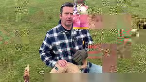 69K views · 416 reactions | Uh oh!! A Cockerpoo with a terrible recall and no real interest in toys beyond guarding them …. 樂 Awful on lead, chases animals, jumps up, barks excessively etc etc etc What to do??? Well, let’s start by doing this …… I’ll be recording his journey. Let’s see how bright his ⭐️ can shine?! | Take the Lead Dog Training | Facebook