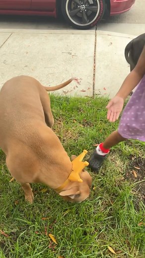 She is so funny | Sheldon Bowman