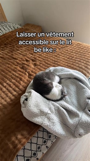 Avoir toute la place mais choisir le bon spot 🤡