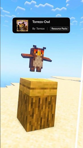 Minecraft ✅ BEST Texture / Resource Packs.