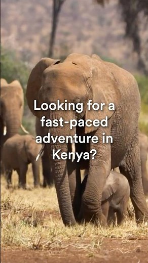 O.A.T. has the fact-paced adventure in Kenya you’re looking for 🇰🇪