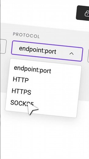 Setup SOCKS5 Proxy in 15 Seconds! 🔥 #proxy #cybersecurity