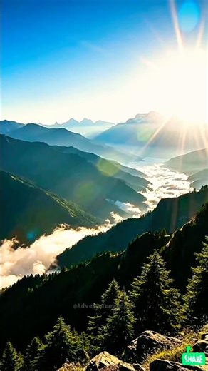 Amazing visual 👏 #shorts #Adventurezone37 #viral