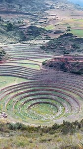 5.4K views · 222 reactions | Moray Moray posee un conjunto de...