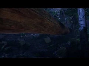 Unity HDRP VR | 1440 60fps ( The Forest Test)