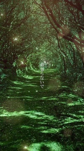 光のうたの歌詞と意味を探る