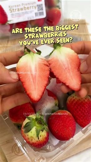 Are these the biggest strawberries ever? Giant and sweet Korean Strawberries! 🍓✨ #healthy #food #trivia #fruits