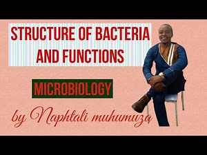 Bacteria Structure and Functions | Microbiology