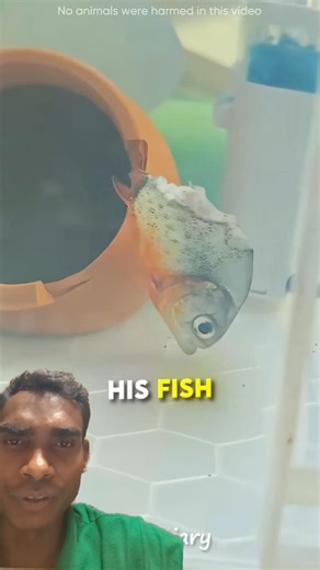 This Fish Refused to Give Up 🐟 #shorts #fish #usa