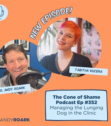 Handling Fear-Aggressive Dogs with Dr. Andy Roark