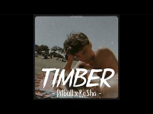 [Vietsub+Lyrics] Timber - Pitbull ft. ke$ha (speed up) | Nhạc Hot Remix TikTok