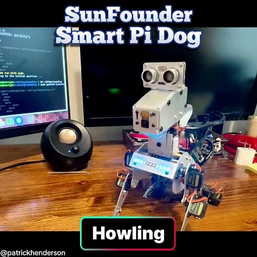 Easy PiDog Python Project for STEM #RobotDog #Python #RaspberryPi #Coding #techtok