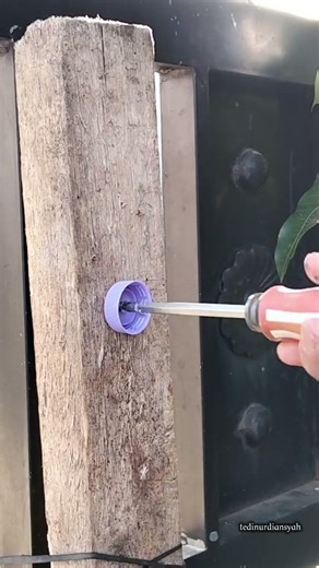 simple trick to make a clothesline #tipsandtrick #creativeidea