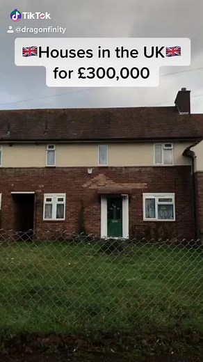 dragonfinity on TikTok