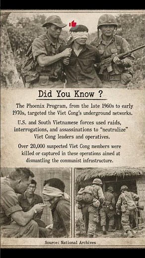 Phoenix Program Explained: Secret Vietnam War “Neutralization” Operations Revealed