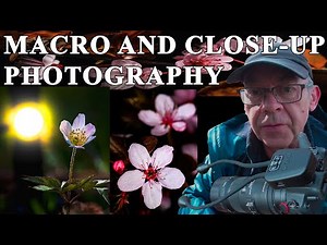 Macro Photography: HOW to create better images