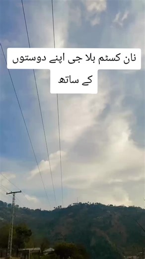 Non-Custom Bill Payment Explained for Friends