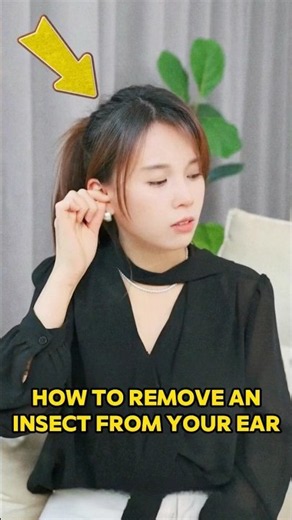 If A Bug Flies Into Your Ear Here’s What You Must Do