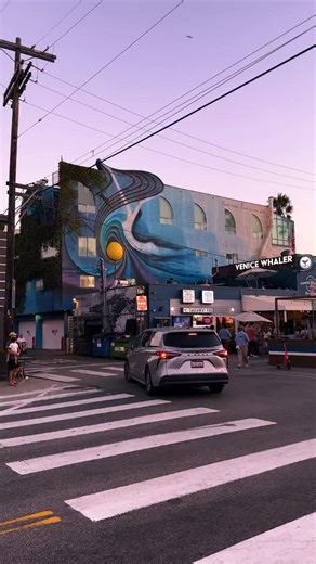 Venice Beach sunset 🌴🌅🌊 📍LA, California . . #LA #LosAngeles #California #VeniceBeach | Zaid Shaat
