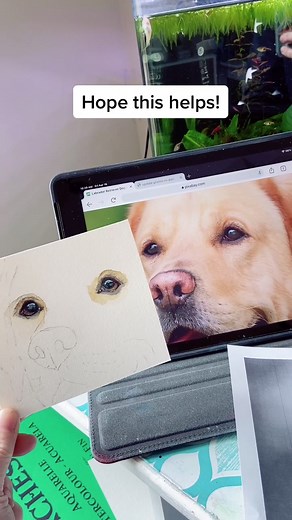 Watercolor Painting Tips for Animal Lovers