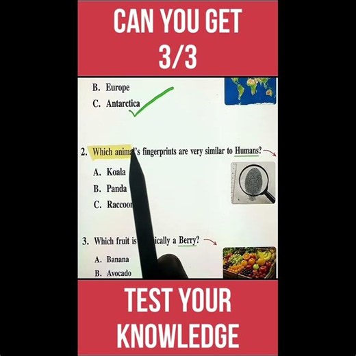 3 Amazing Facts You Should Know #shorts